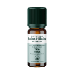 Tea-tree (arbre à thé) : huile essentielle, quels bienfaits sur la